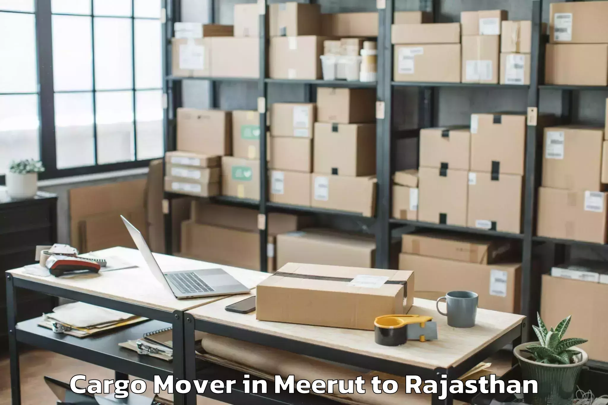 Easy Meerut to Tonk Cargo Mover Booking